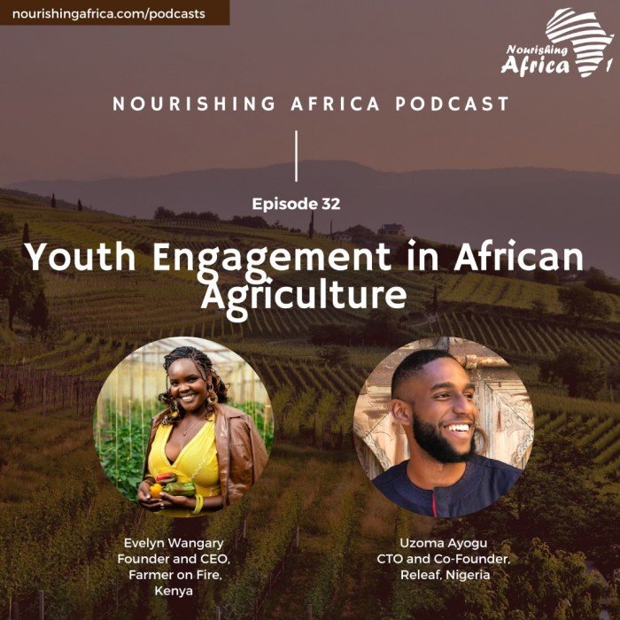 Youth Engagement in African Agriculture